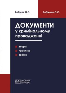 Documents in Criminal Proceedings (Theory, Practice, Samples) (1st Edition)